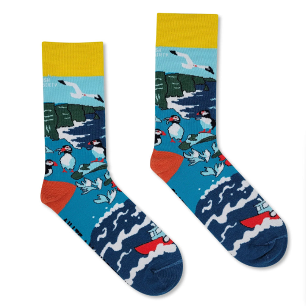 Puffin and seagull socks.