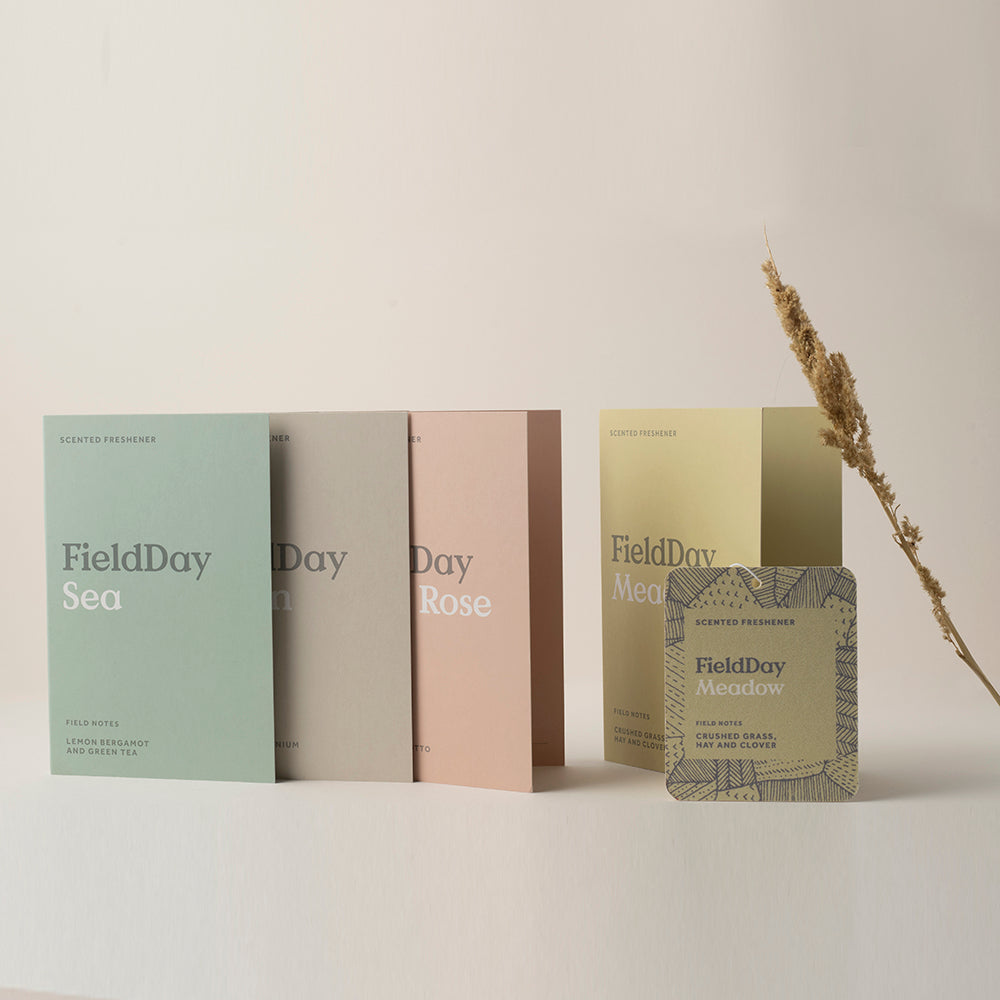 Sea, Day, Rose, Meadow