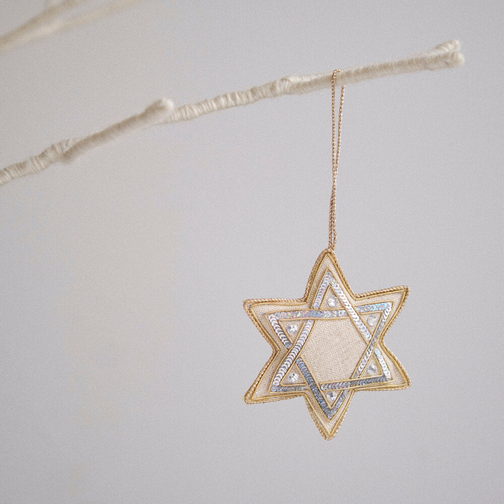 Star ornament hanging on branch