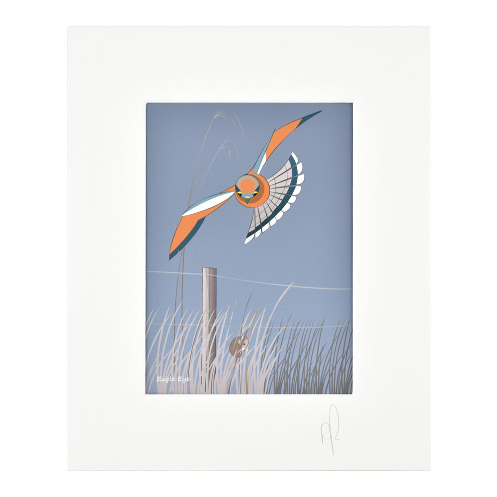 Eagleeye bird illustration flying towards prey
