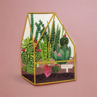 IDH_228_ALLJOY terrarium card with various succulents.