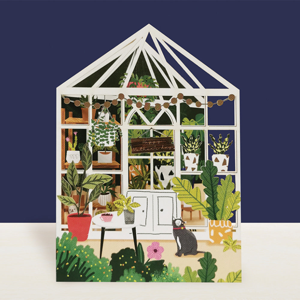 Greenhouse with plants and cat