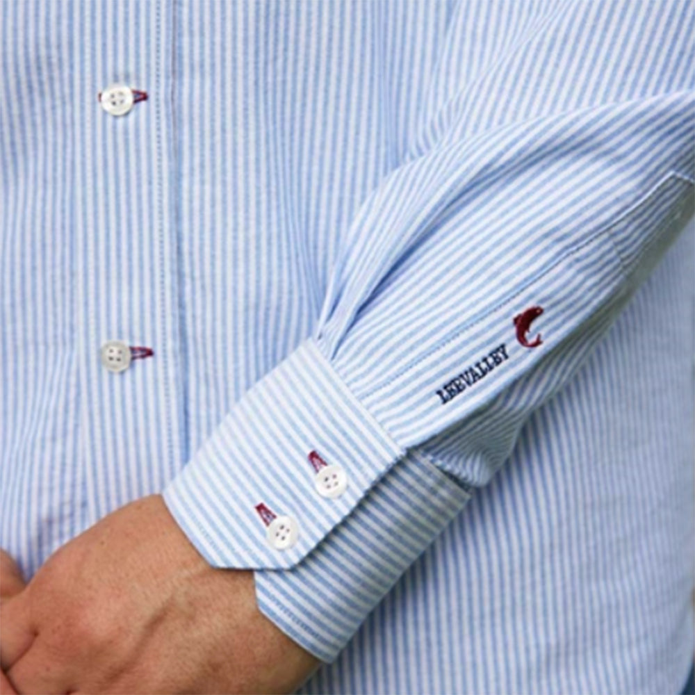 Lee Valley Ireland Oxford collared shirt detail