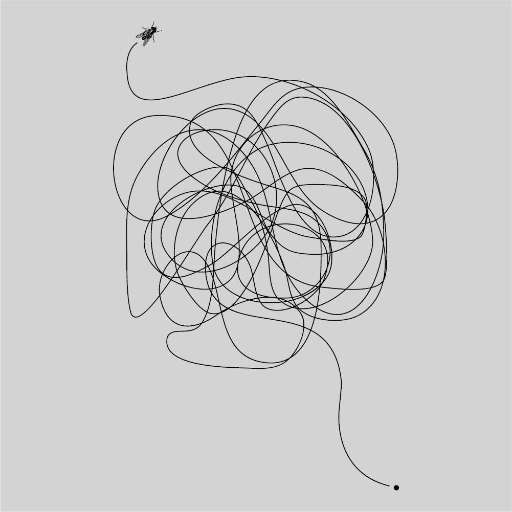 Fly tangled in line art.