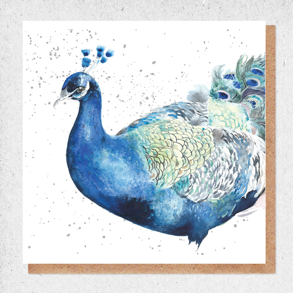 Watercolor peacock illustration - Square 2