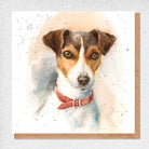 Square 8 watercolor Jack Russell terrier portrait