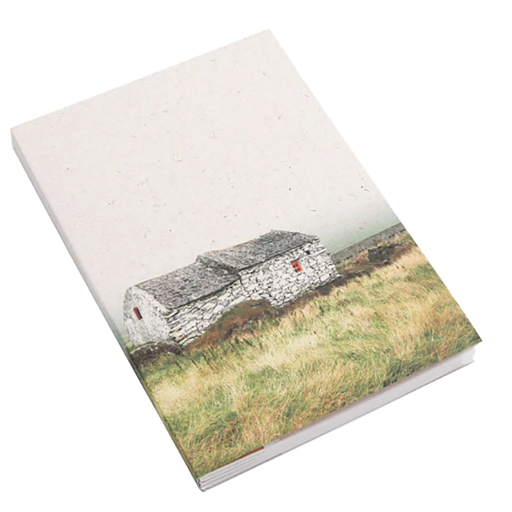 Coastal cottage in tall grass