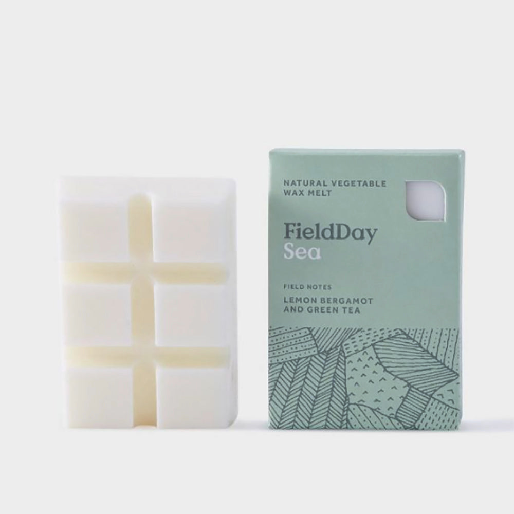 Sea scented wax melt by FieldDay