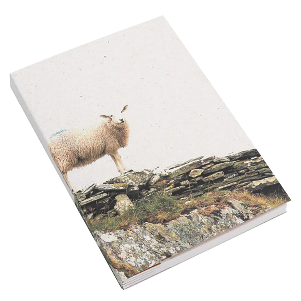 The Lookout notebook cover with sheep on stone wall