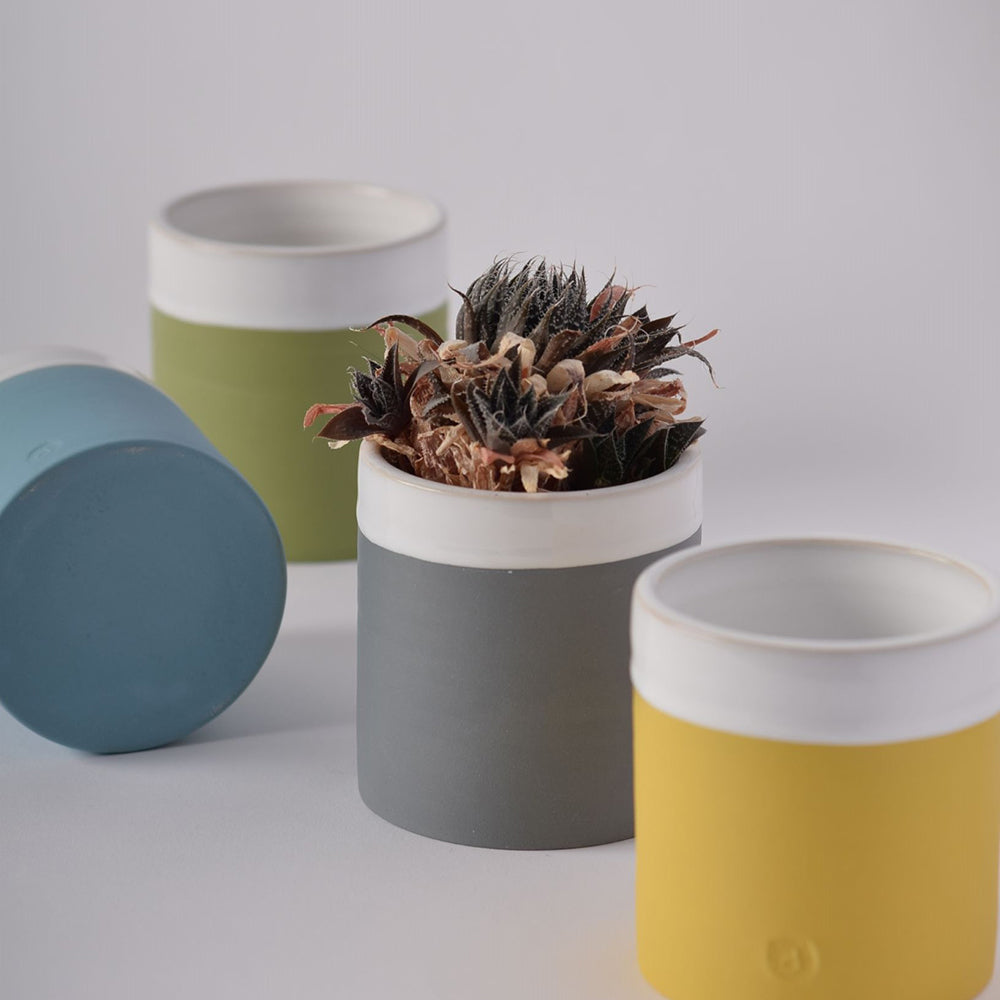 Group of square plant pots with dried plant