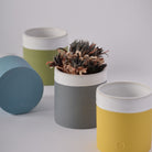 Group of square plant pots with dried plant